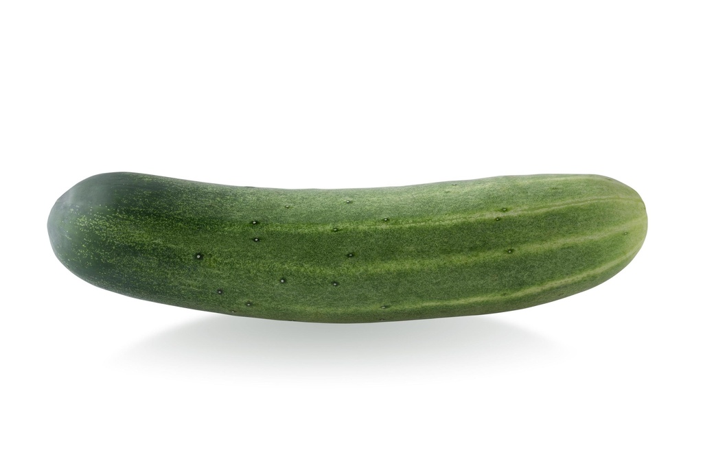 Cucumber